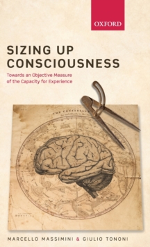 Sizing up Consciousness: Towards an objective measure of the capacity for experience