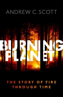 Image for Burning planet  : the story of fire through time