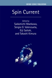 Image for Spin current
