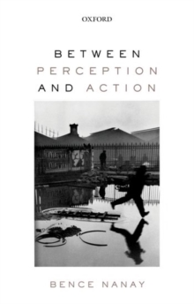 Image for Between Perception and Action