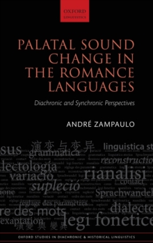 Image for Palatal sound change in the Romance languages  : diachronic and synchronic perspectives