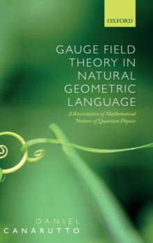 Gauge Field Theory in Natural Geometric Language