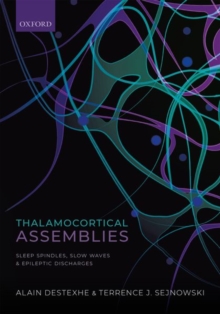 Image for Thalamocortical assemblies  : sleep spindles, slow waves and epileptic discharges