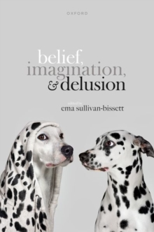 Image for Belief, Imagination, and Delusion