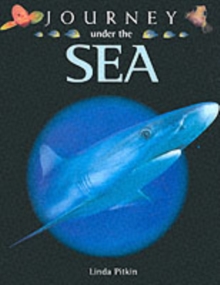 Image for Journey Under the Sea