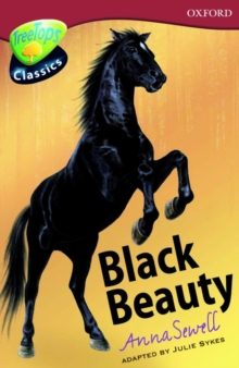 Image for TreeTops Classics Level 15 Black Beauty