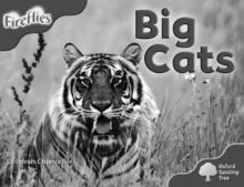 Image for Oxford Reading Tree: Stage 4 (Pack A): More Fireflies: Big Cats