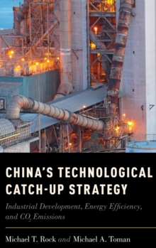 Image for China's Technological Catch-Up Strategy