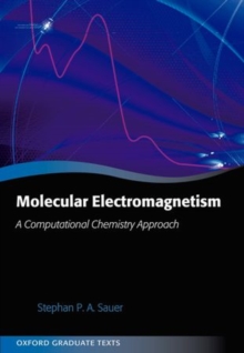 Image for Molecular Electromagnetism: A Computational Chemistry Approach