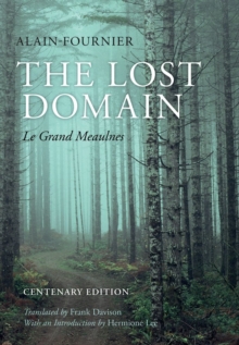 Image for The lost domain