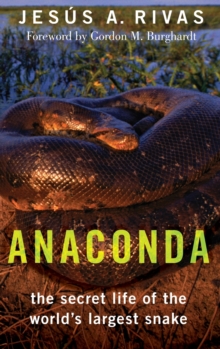 Anaconda