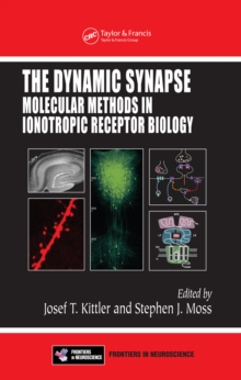 Image for The dynamic synapse: molecular methods in ionotropic receptor biology