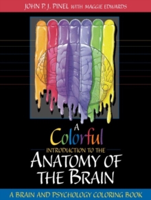 Image for A Colorful Introduction to the Anatomy of the Human Brain