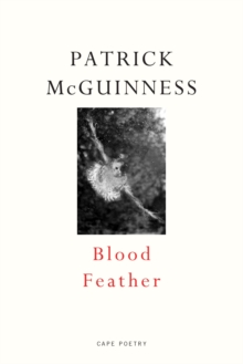 Blood Feather: ‘He writes with Proustian elan and Nabokovian delight’ John Banville