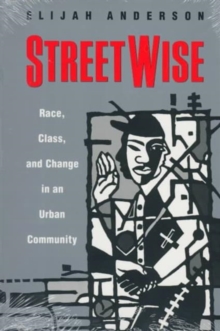 Image for StreetWise  : race, class, and change in an urban community