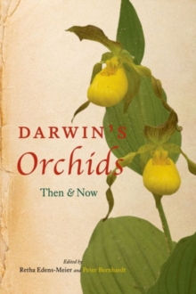 Image for Darwin's Orchids