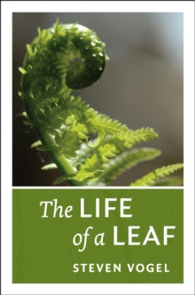 Life of a Leaf