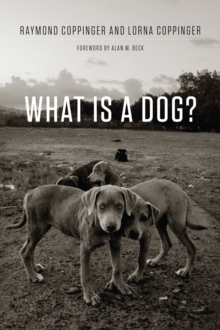 What is a Dog?