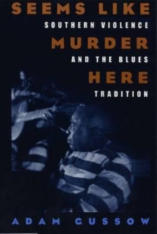 Image for Seems like murder here  : Southern violence and the blues tradition