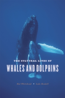 Image for The cultural lives of whales and dolphins