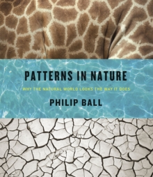 Image for Patterns in Nature