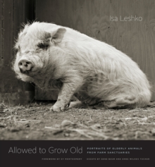 Allowed to Grow Old: Portraits of Elderly Animals from Farm Sanctuaries