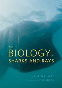 Image for The biology of sharks and rays
