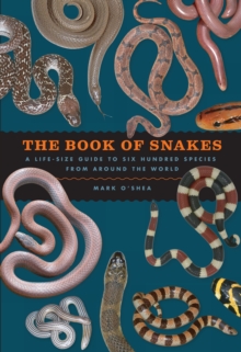 Image for Book of snakes: a life-size guide to six hundred species from around the world