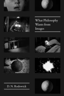 Image for What philosophy wants from images