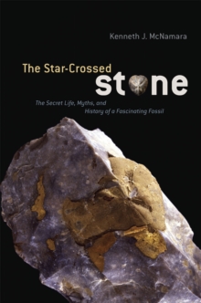 Image for The star-crossed stone  : the secret life, myths, and history of a fascinating fossil