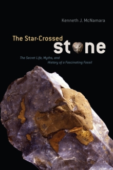 Image for The Star-Crossed Stone: The Secret Life, Myths, and History of a Fascinating Fossil