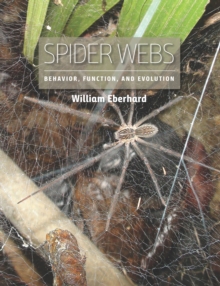 Image for Spider webs: behavior, function, and evolution