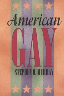 Image for American Gay