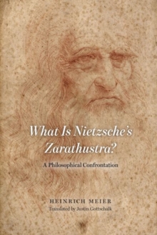 What is Nietzsche`s Zarathustra? – A Philosophical Confrontation