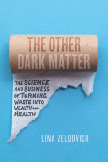 Image for The Other Dark Matter
