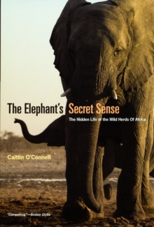 Image for The Elephant`s Secret Sense - The Hidden Life of the Wild Herds of Africa