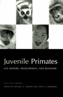 Image for Juvenile primates  : life history, development, and behavior