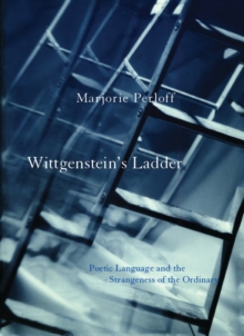 Image for Wittgenstein's Ladder