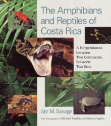Image for The amphibians and reptiles of Costa Rica  : a herpetofauna between two continents, between two seas