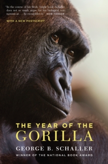 Image for The Year of the Gorilla