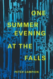 One Summer Evening at the Falls