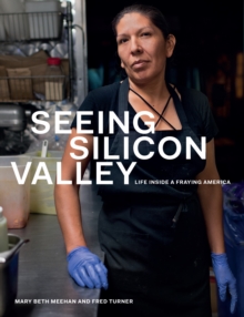 Image for Seeing Silicon Valley