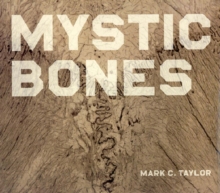 Image for Mystic bones