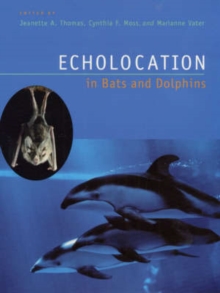 Image for Echolocation in bats and dolphins