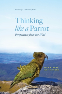 Image for Thinking like a Parrot