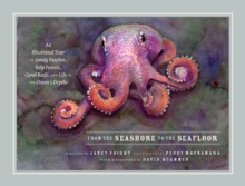 Image for From the Seashore to the Seafloor: An Illustrated Tour of Sandy Beaches, Kelp Forests, Coral Reefs, and Life in the Ocean's Depths
