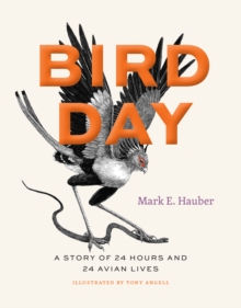 Image for Bird Day: A Story of 24 Hours and 24 Avian Lives