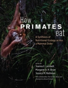 Image for How Primates Eat