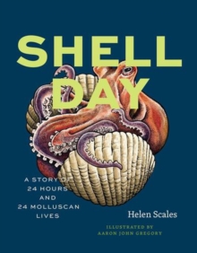 Shell Day