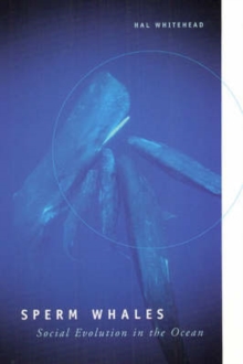 Image for Sperm whales  : social evolution in the ocean